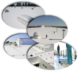 Elite Roofing Company of Nashville Images