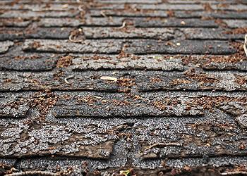 Elite Roofing of Nashville Images